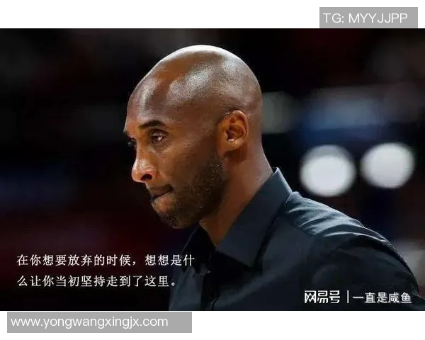 篮球明星3号的传奇之路与背后故事揭秘