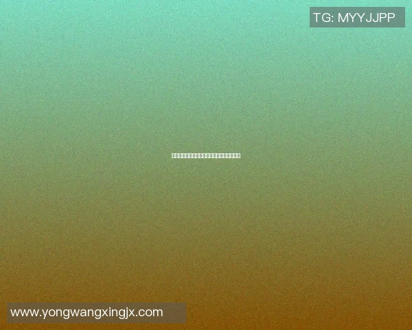 篮球小明星的成长之路与体育游戏的精彩瞬间