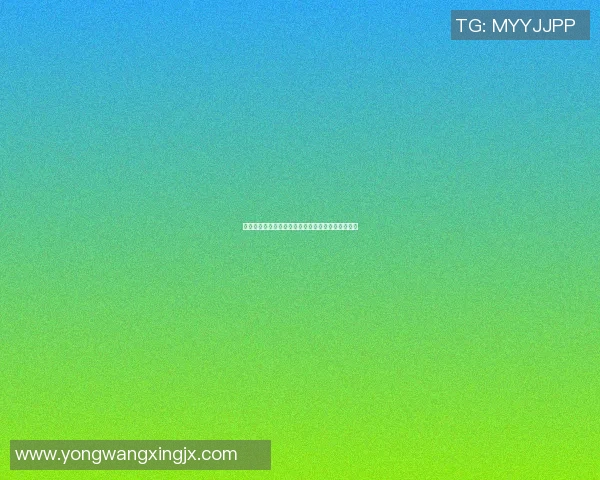 篮球明星的内裤背后那些不为人知的故事与趣闻揭秘